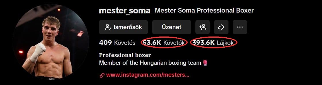 Mester Soma közösségimédia-profilja az SMGL-lel dolgozva
